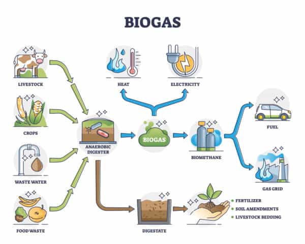 Biogas: Energy for a More Sustainable Future - Nova Gas